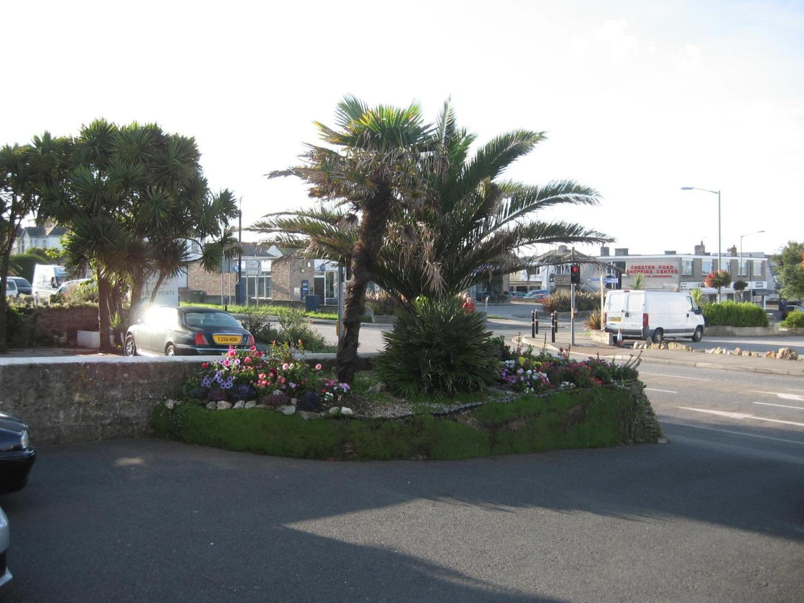 Bed and Breakfast Jasmine House New Quay Exterior foto