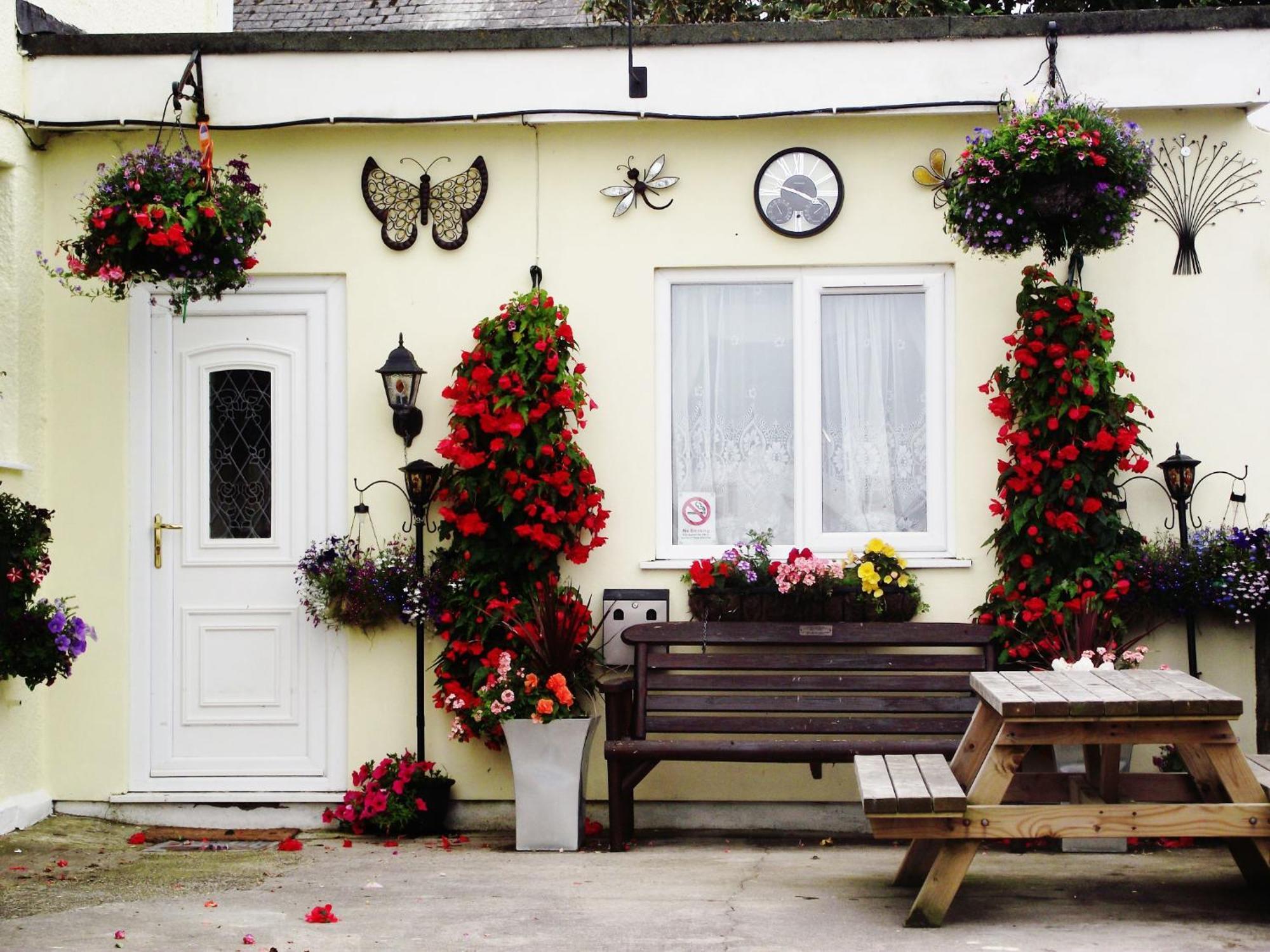 Bed and Breakfast Jasmine House New Quay Exterior foto
